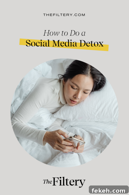 Social Media Detox: Step-by-Step Plan to Reclaim Your Time 3 how to do a social media detox