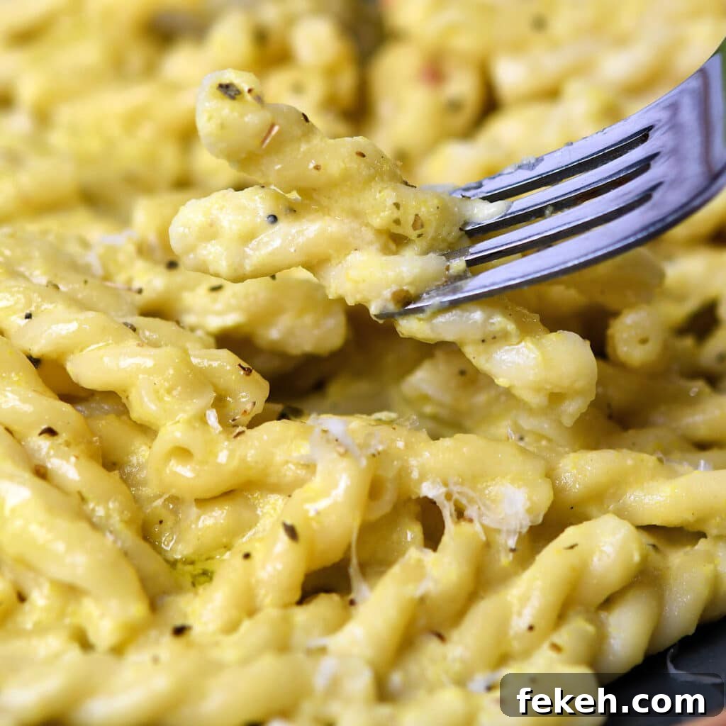 Creamy Summer Squash Alfredo Pasta Recipe 6 Summer Squash Alfredo Pasta recipe from 24Bite
