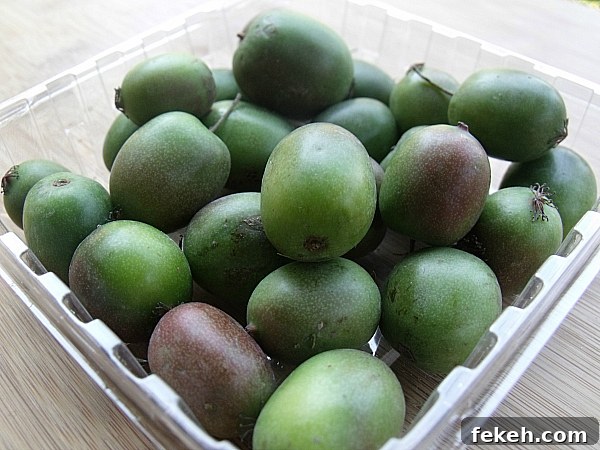4 Seasonal Fruits and Vegetables to Try from Melissa’s Produce 7 Baby Kiwi