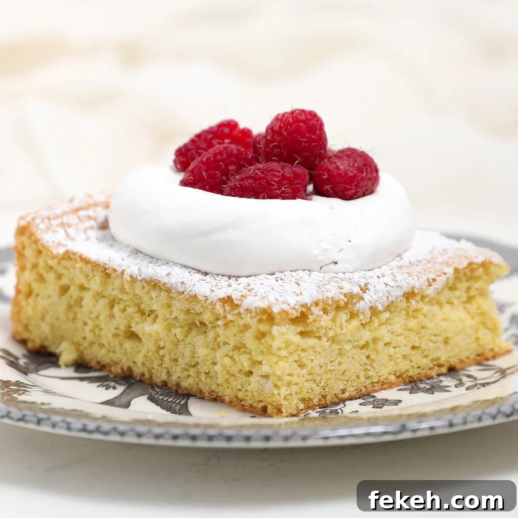 44 Gluten-Free Dairy-Free Cake Recipes for Every Occasion 12 A slice of classic sponge cake topped with a dollop of whipped cream and fresh raspberries, dusted with powdered sugar and served on a decorative plate.