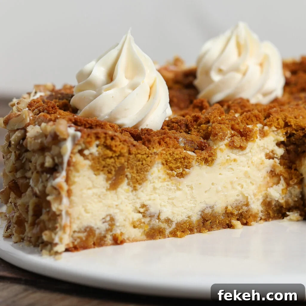 44 Gluten-Free Dairy-Free Cake Recipes for Every Occasion 24 A close-up of a creamy pumpkin cake cheesecake with a crumbly brown crust, topped with whipped cream swirls and chopped nuts around the edge, served on a white plate.