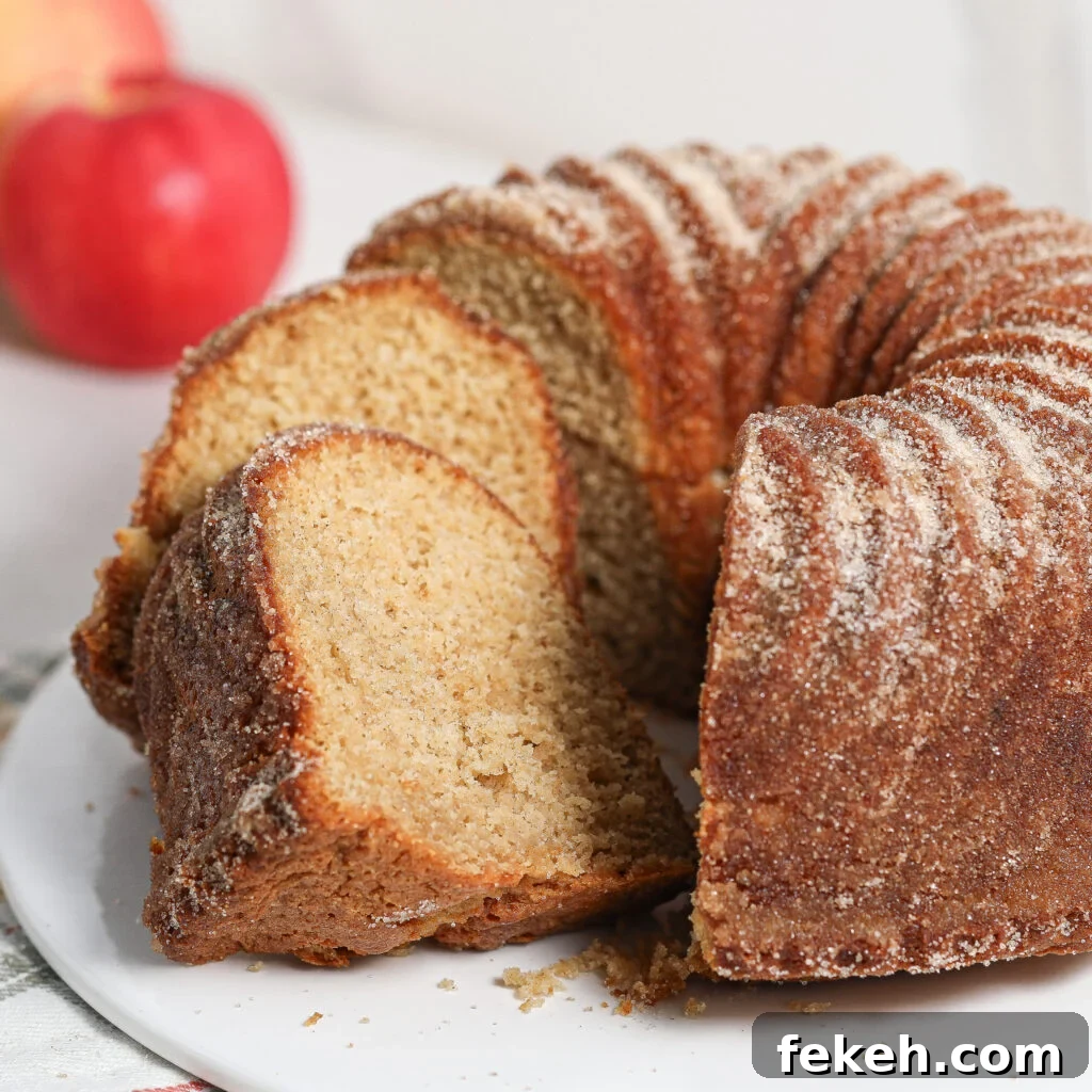 44 Gluten-Free Dairy-Free Cake Recipes for Every Occasion 27 A close-up of a sliced Apple Cider Donut Cake coated with sugar, displayed on a white plate, with a red apple and blurred background.