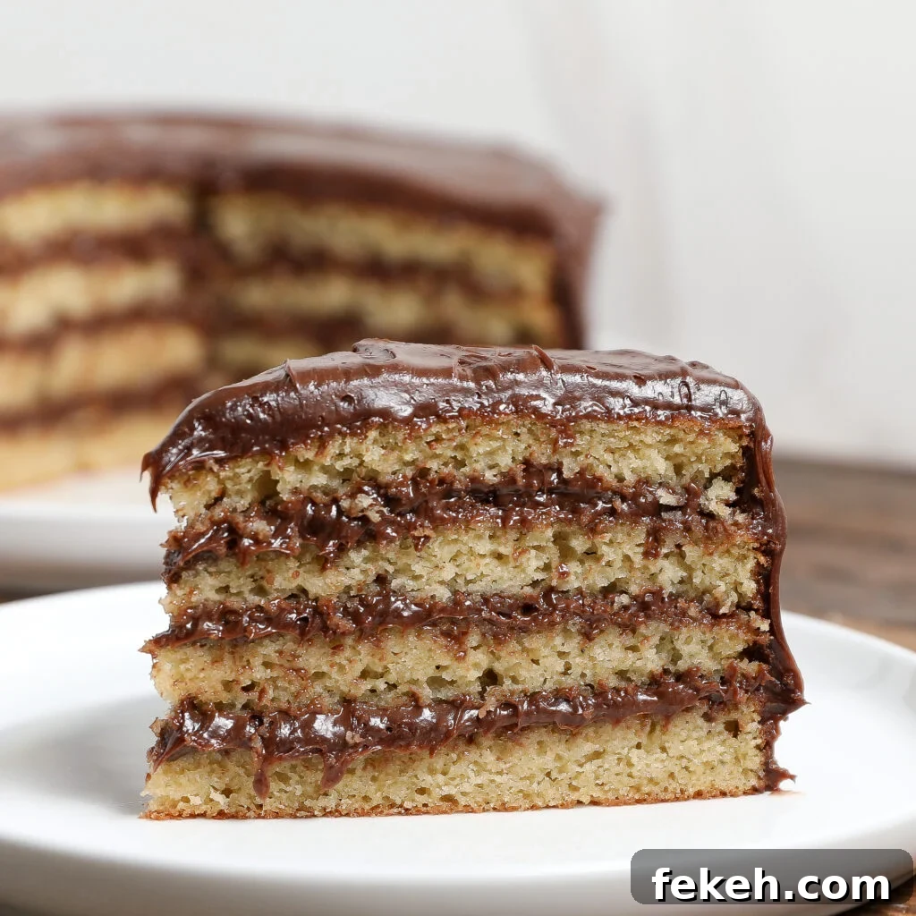44 Gluten-Free Dairy-Free Cake Recipes for Every Occasion 35 A slice of Vanilla Bean Cake with Chocolate Frosting is served on a white plate, showing off its rich chocolate layers and fluffy vanilla bean interior. The rest of the cake stands enticingly in the background.