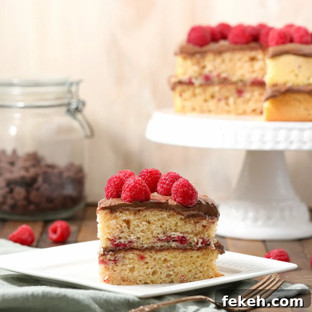 44 Gluten-Free Dairy-Free Cake Recipes for Every Occasion 8 Gluten Free Raspberry Cake with Chocolate Buttercream