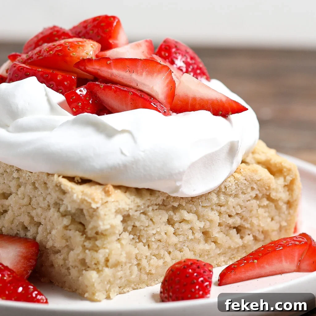 44 Gluten-Free Dairy-Free Cake Recipes for Every Occasion 10 A slice of biscuit cake topped with a generous dollop of whipped cream and fresh sliced strawberries, served on a white plate.