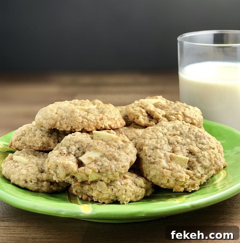 Chewy Vegan Apple Oatmeal Cookies Recipe for Fall Baking 2 Vegan Chewy Apple Oatmeal Cookies