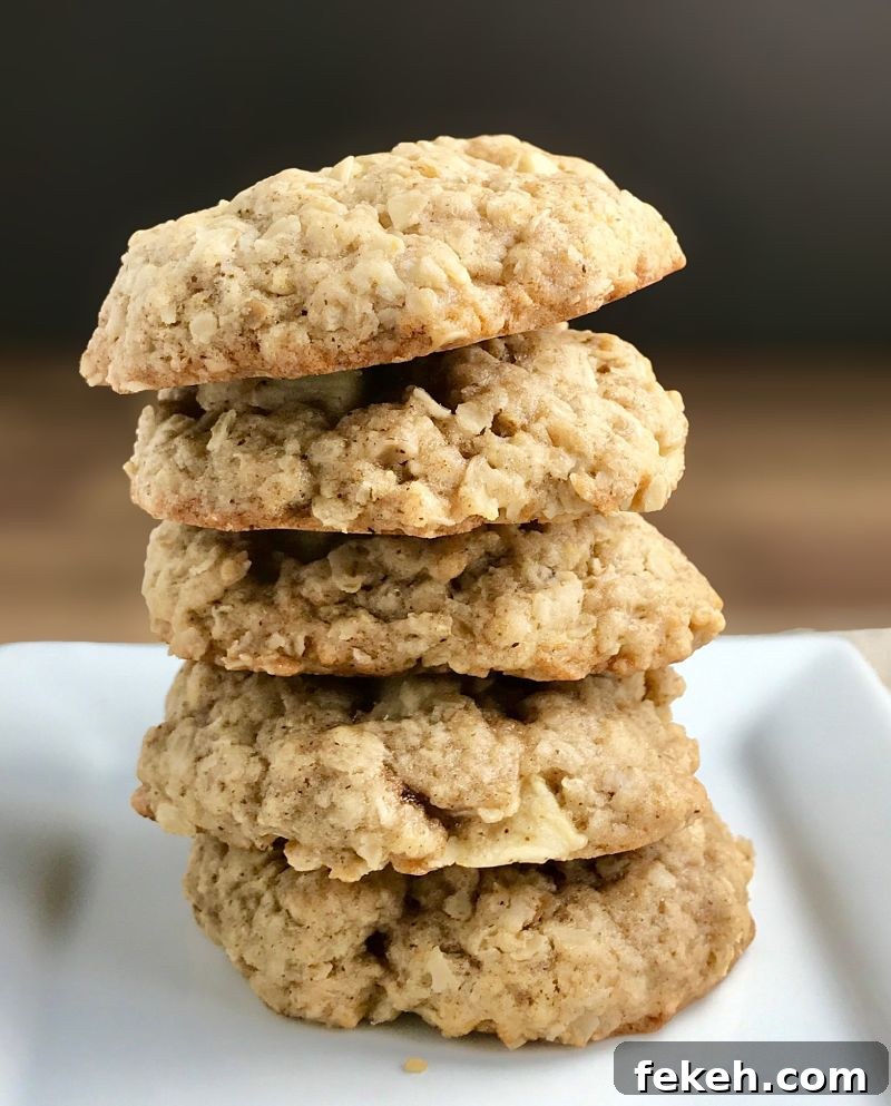 Chewy Vegan Apple Oatmeal Cookies Recipe for Fall Baking 3 Vegan Chewy Oatmeal Apple Cookies