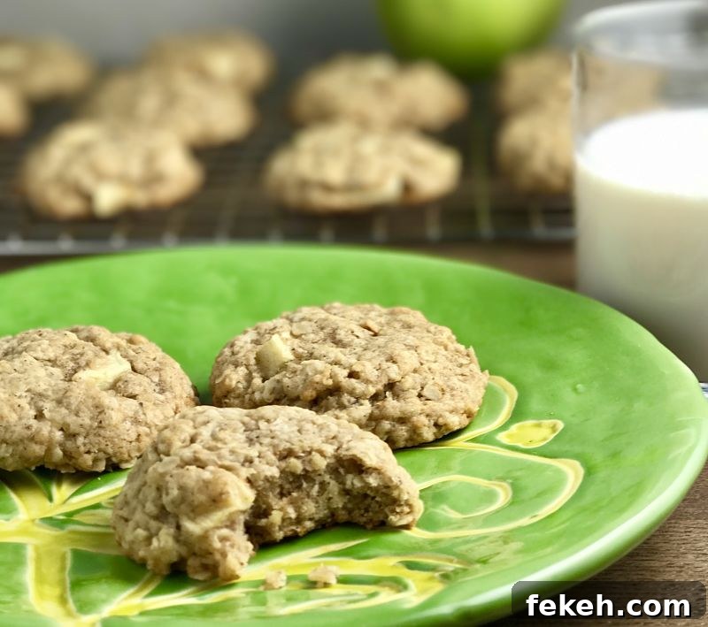 Chewy Vegan Apple Oatmeal Cookies Recipe for Fall Baking 4 Vegan Chewy Apple Oatmeal Cookies
