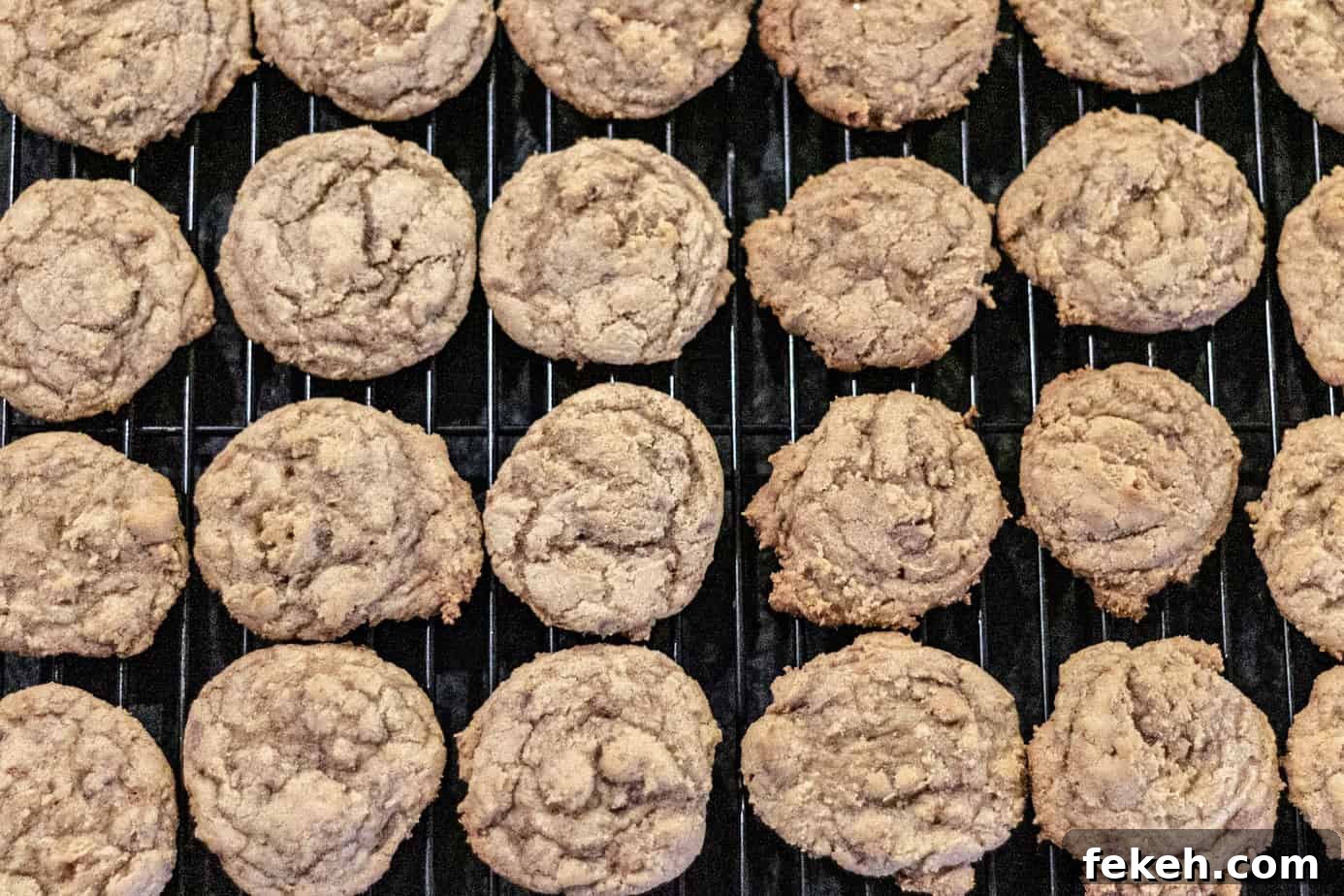 Smoked Chocolate Chip Cookie Recipe — Smoky, Crispy & Gooey 3 img 2324 2