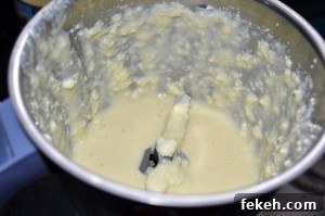 Paneer and condensed milk