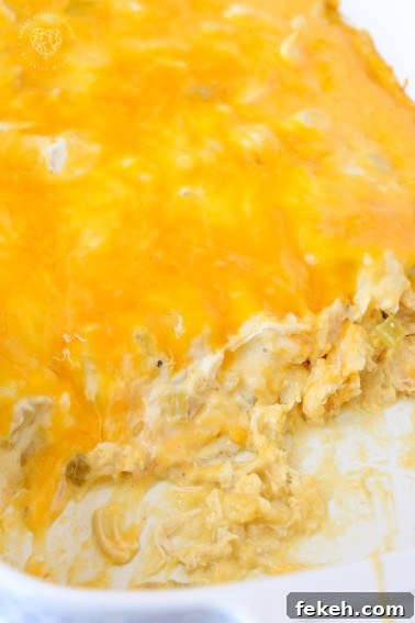Sour Cream Chicken Enchiladas Recipe - The most delicious enchiladas with ooey gooey sauce!