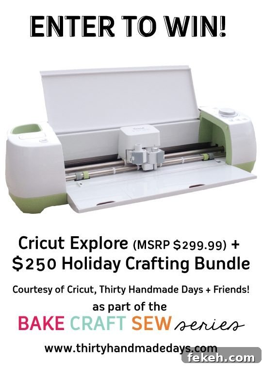 Awesome Cricut Giveaway via www.thirtyhandmadedays.com for Bake Craft Sew Series
