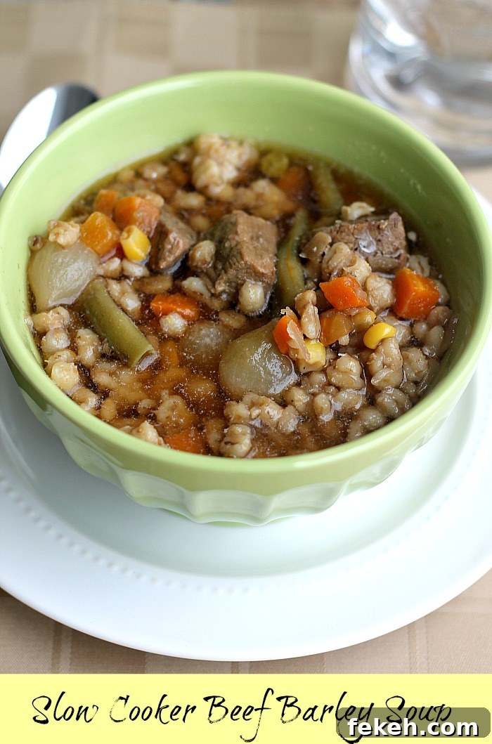 Beef barley soup