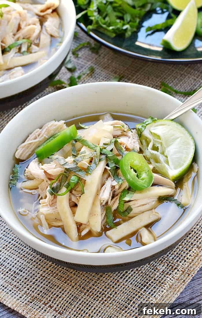 Chinese chicken noodle soup