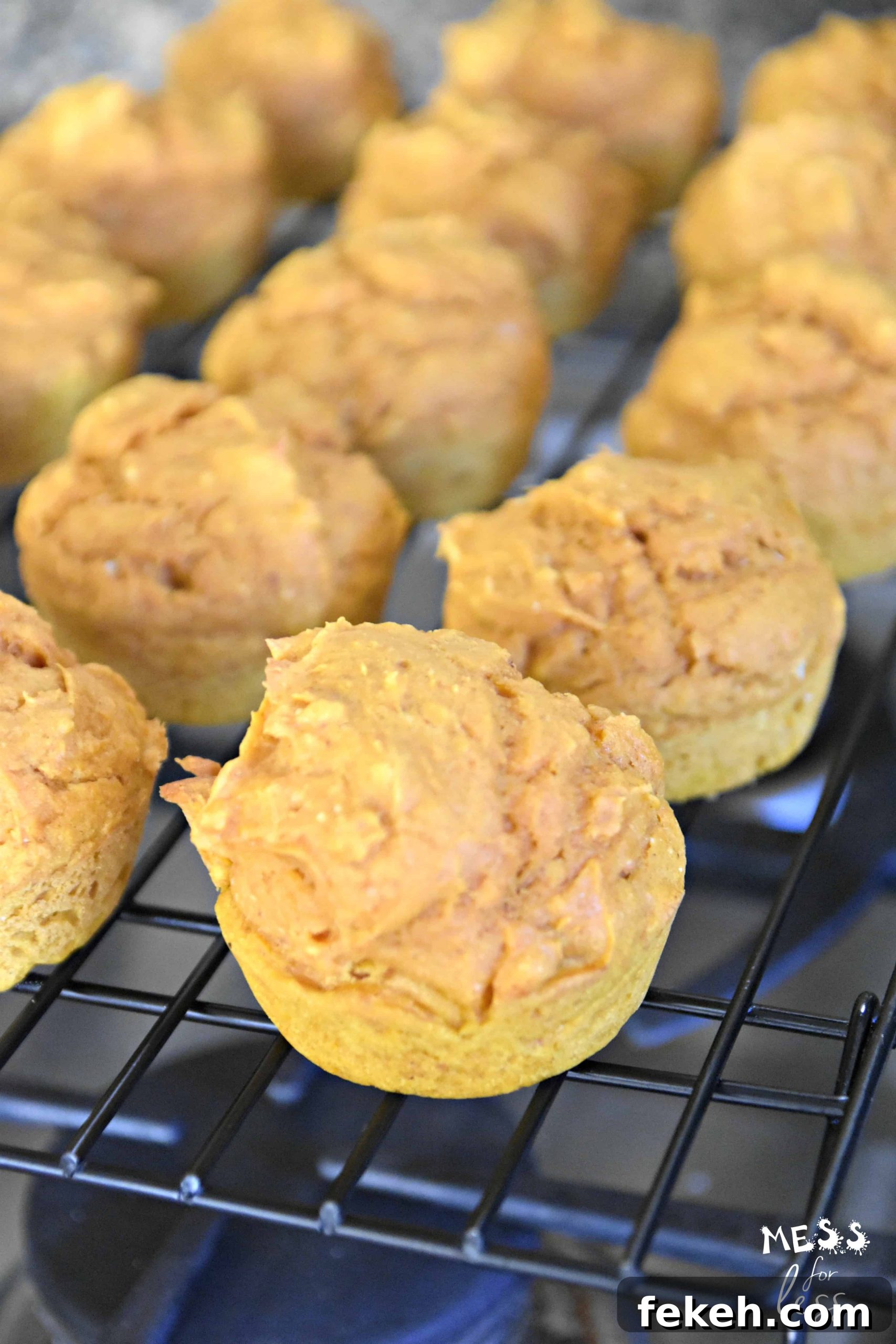 Low-Calorie Pumpkin Muffins for Weight Watchers-Friendly Diet 2 pumpkin muffins on a cooling rack