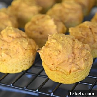 Low-Calorie Pumpkin Muffins for Weight Watchers-Friendly Diet 12 Weight Watchers Pumpkin Muffins