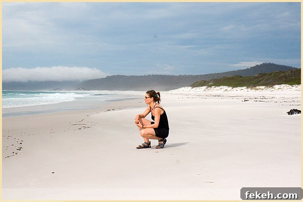 Discover Tasmania: Travel Guide and Top Experiences 2 Freycinet National Park, Friendly Beaches