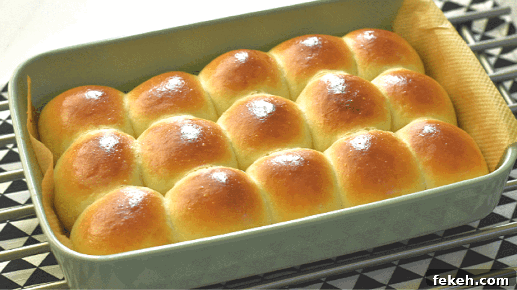 Homemade Fluffy Doughnuts: Simple Recipe for Perfect Results 5 quick dinner rolls recipe