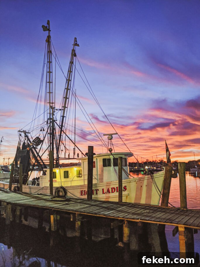 3-Day St. Augustine Itinerary: Top Sights & Historic Stops 4 On the other side of town sits the working docks for the local shrimp boats