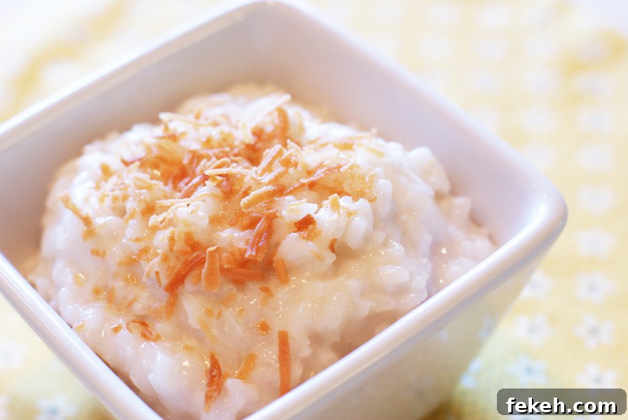 Creamy vegan coconut rice pudding topped with toasted coconut