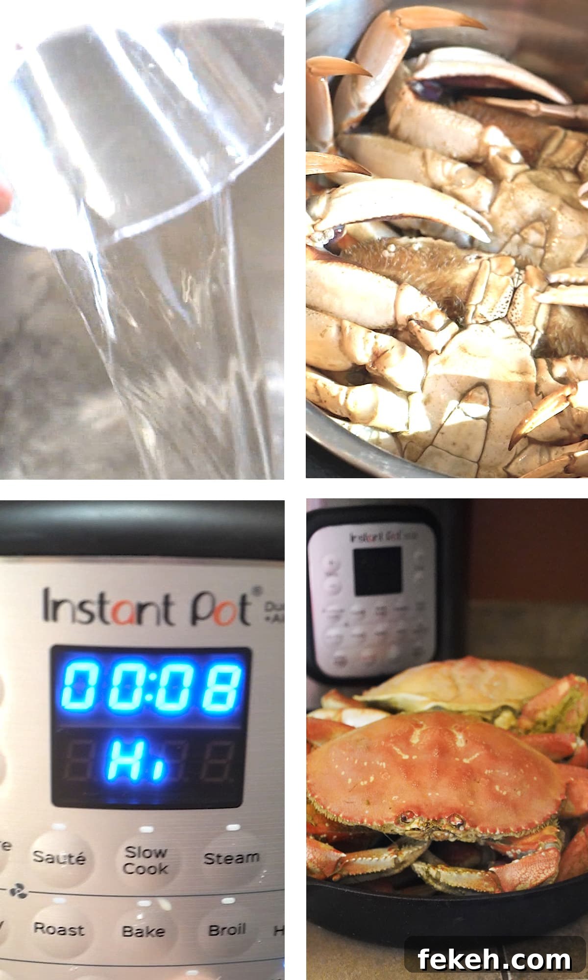How to Cook Dungeness Crab