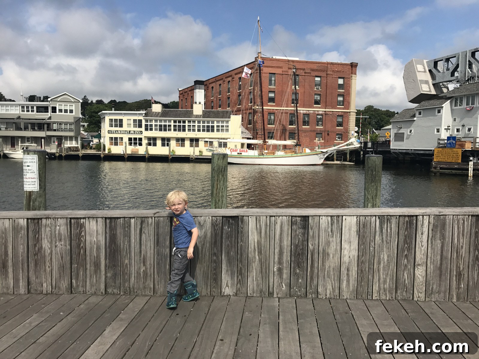img 29869 12