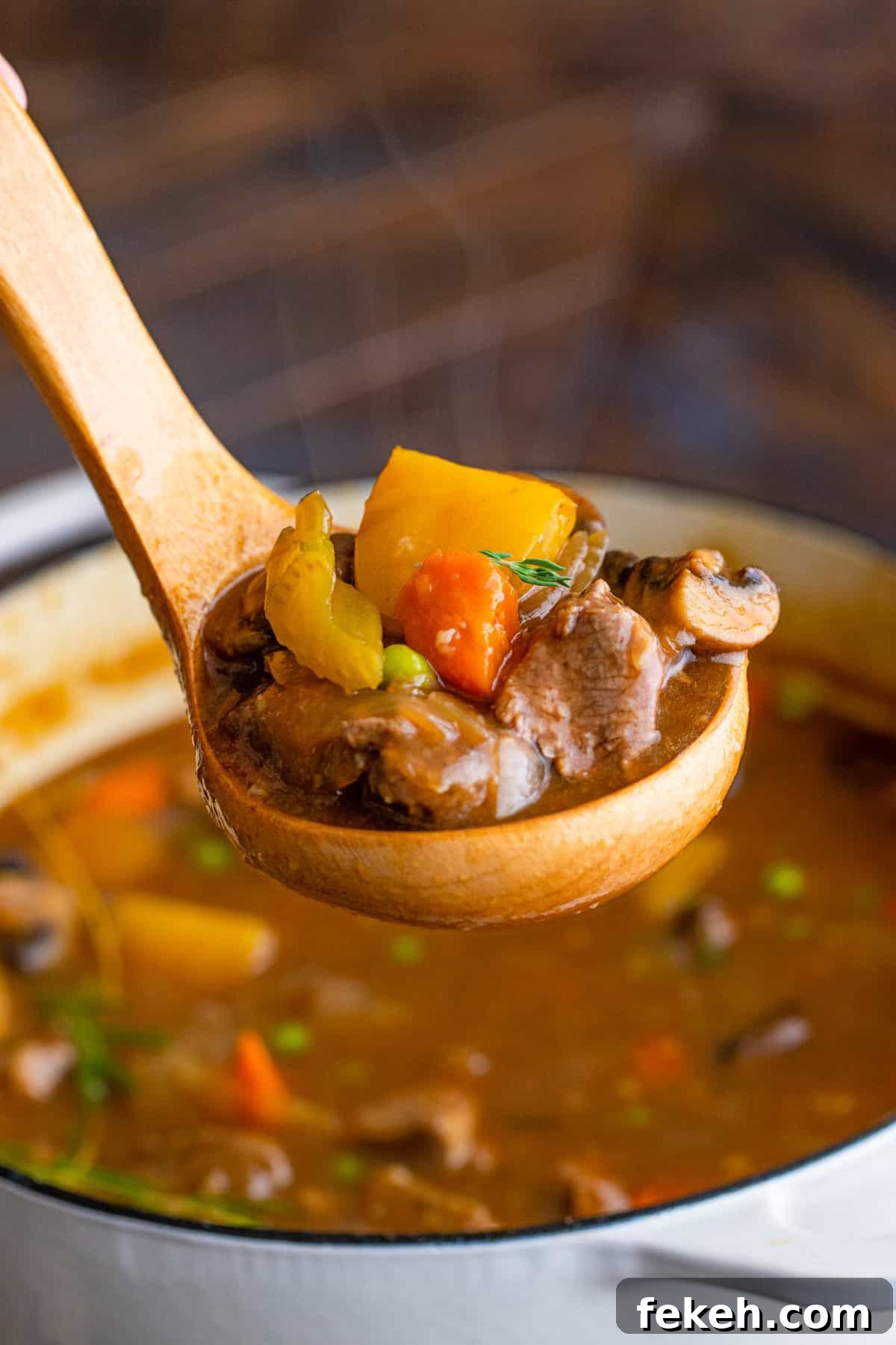 Hearty Venison Stew Recipe for Tender, Flavorful Game Meat 6 Ladle holding up some stew from dutch oven.