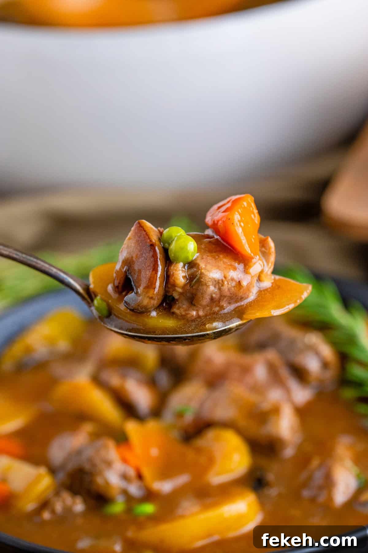 Hearty Venison Stew Recipe for Tender, Flavorful Game Meat 7 Spoon holding up a spoonful of Venison Stew out of bowl.