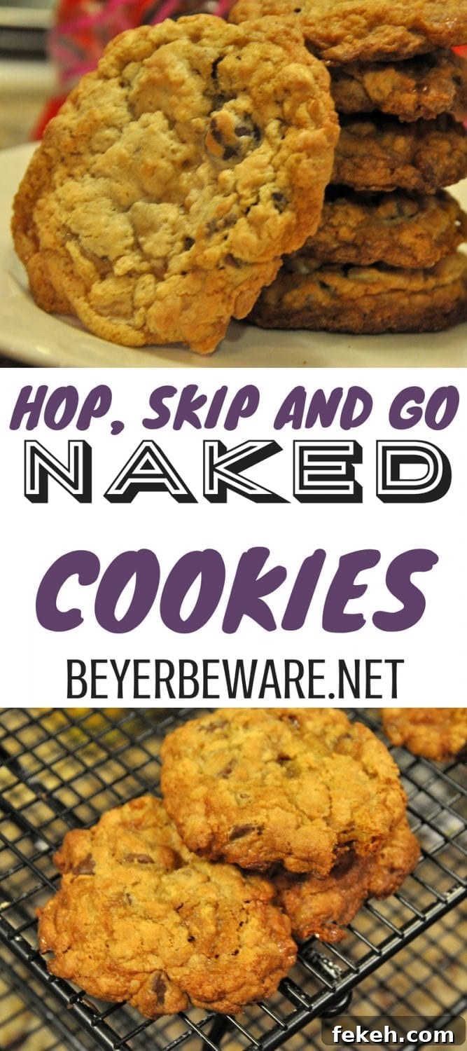 Hop, Skip and Go Naked Cookies — Playful No-Bake Cookie Recipe 4 Hop, Skip and Go Naked cookies: chewy oatmeal and chocolate cookies with a touch of booze.