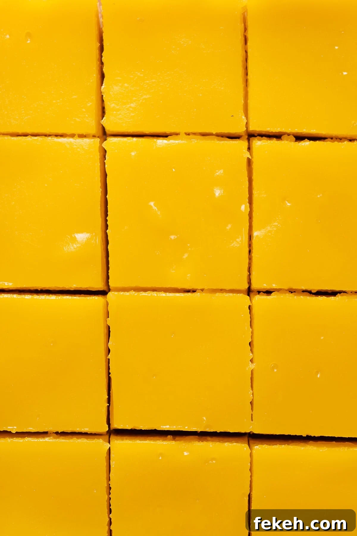 Lemon bars after baking cut into squares before dusting with powdered sugar.