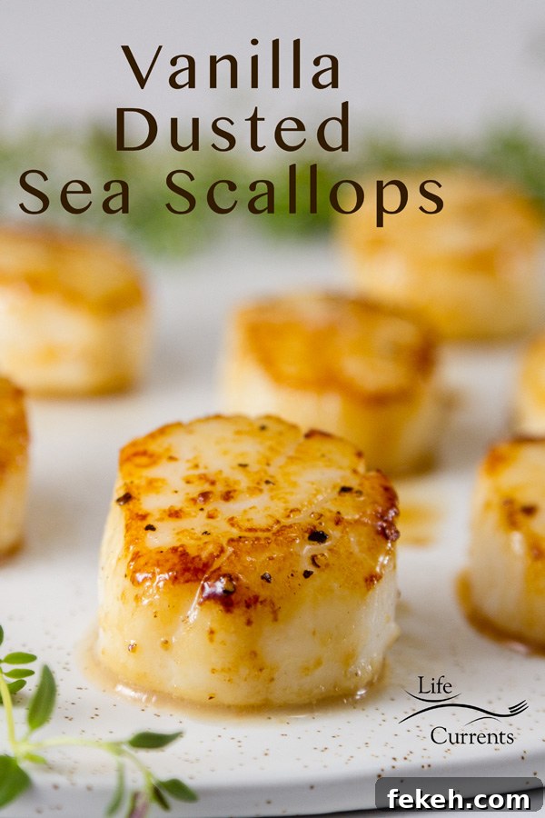 Vanilla Dusted Scallops on a white plate with chives for garnish, title included in image