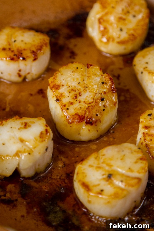 Vanilla Dusted Seared Sea Scallops in the pan being cooked