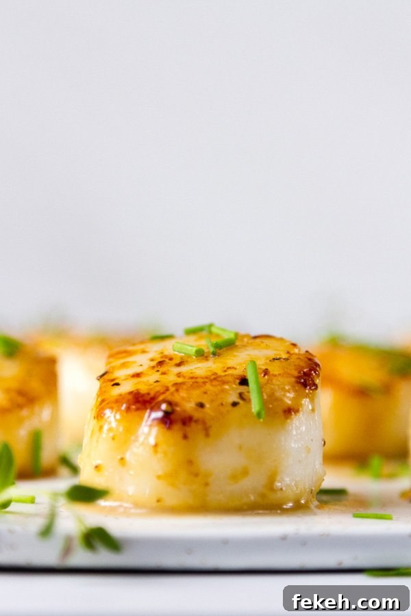 Vanilla Dusted Scallops eye level shot with some fresh herbs and lots of white space