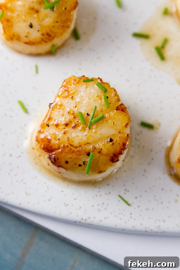 top down look at Vanilla Dusted Scallops on a white plate with fresh herbs as garnish