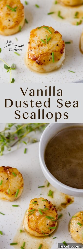 Vanilla Dusted Scallops two images for long pin for Pinterest 