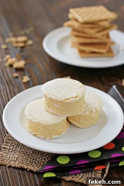 These soft and fluffy homemade pumpkin spice marshmallows are perfect for Fall! Filled with pumpkin puree and plenty of warm spices, these marshmallows are so fun for s'mores! Several Pumpkin Spice Marshmallows and graham crackers on plates.