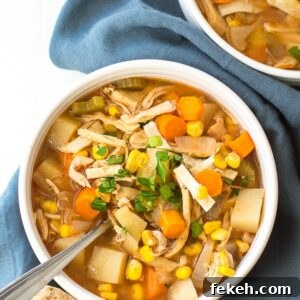 Spicy Slow Cooker Chicken Soup Recipe for Comforting Weeknight Meals 2 Crock Pot Spicy Chicken Soup Recipe
