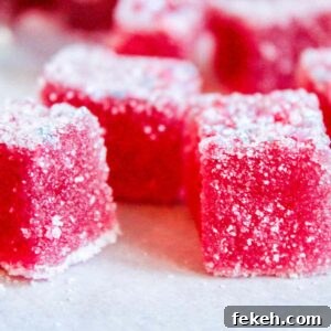 Prickly Pear Cactus Fruit Gum Drops — Flavorful Tropical Candy 3 Cactus Fruit Gum Drops