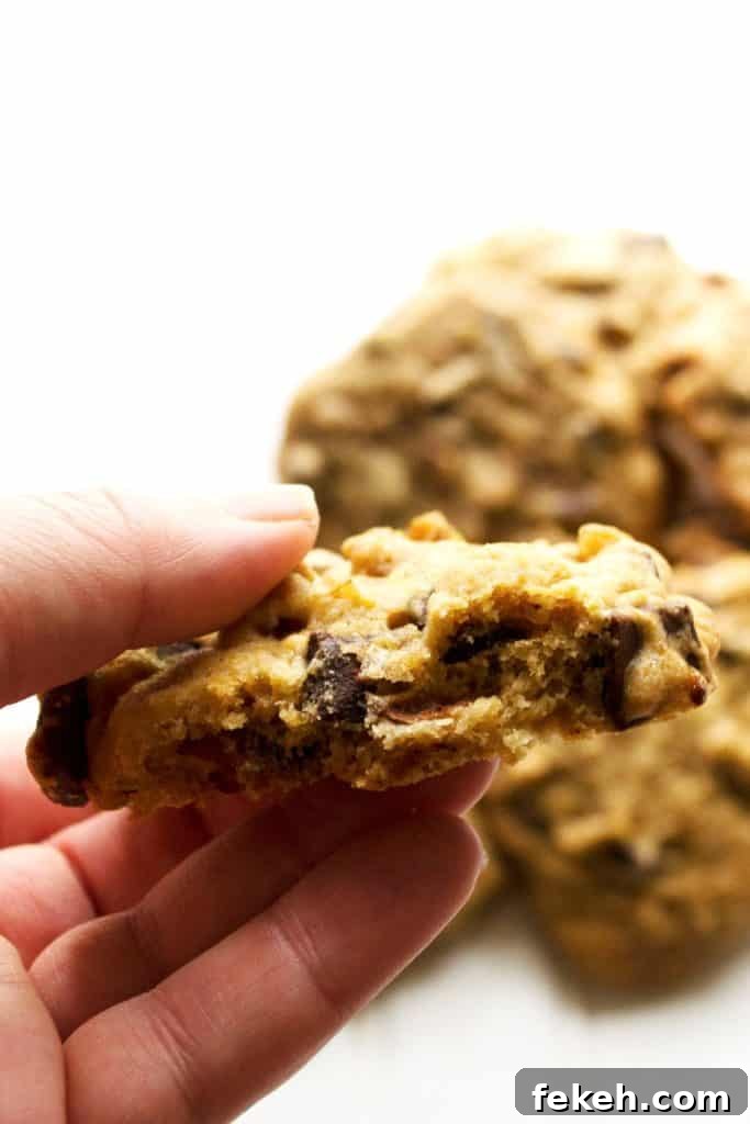 Chunky Monkey Banana Chocolate Chip Cookies Recipe 3 Chunky Monkey Cookies bite