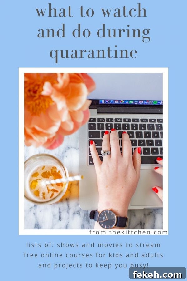 Top Shows to Watch and Projects to Try While in Quarantine 2 A guide of what to watch during quarantine, quarantine projects to help keep you busy, virtual art experiences, free online courses, and more!