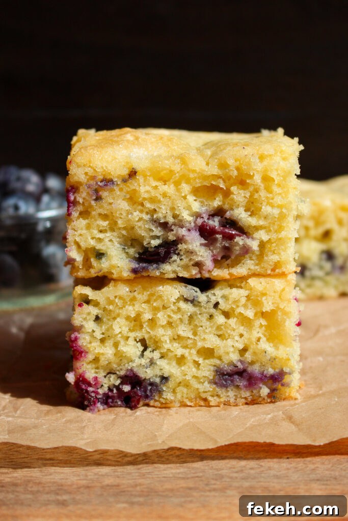 Moist Blueberry Olive Oil Cake Recipe for Spring Baking 2 img 35138 1