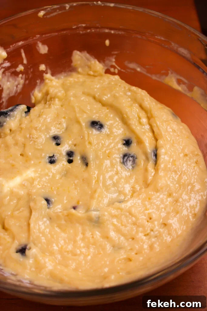 Moist Blueberry Olive Oil Cake Recipe for Spring Baking 16 img 35138 15