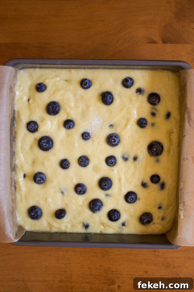 Moist Blueberry Olive Oil Cake Recipe for Spring Baking 18 img 35138 17