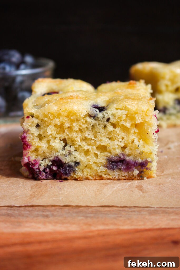 Moist Blueberry Olive Oil Cake Recipe for Spring Baking 19 img 35138 18