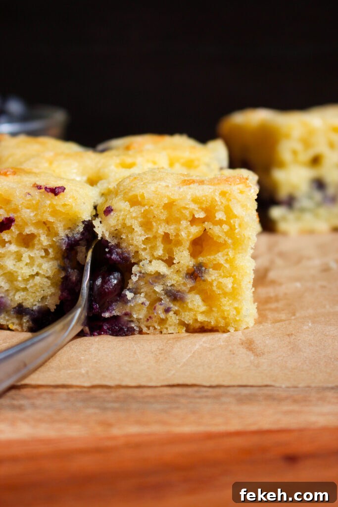 Moist Blueberry Olive Oil Cake Recipe for Spring Baking 20 img 35138 19