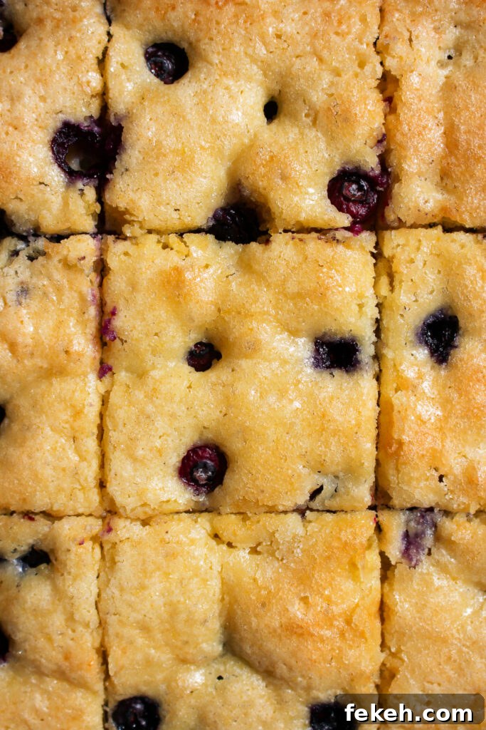 Moist Blueberry Olive Oil Cake Recipe for Spring Baking 3 img 35138 2