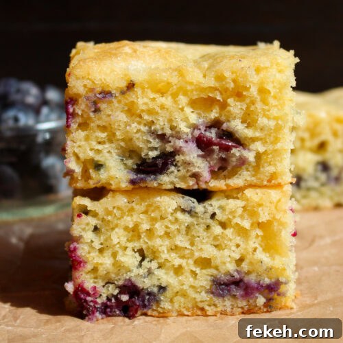 Moist Blueberry Olive Oil Cake Recipe for Spring Baking 22 img 35138 21
