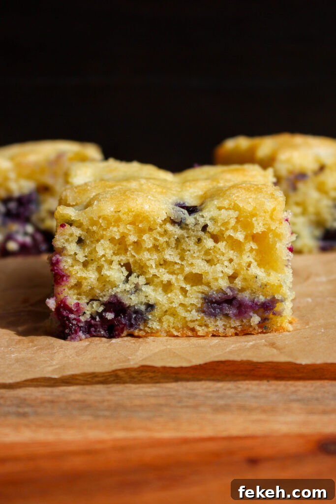 Moist Blueberry Olive Oil Cake Recipe for Spring Baking 4 img 35138 3