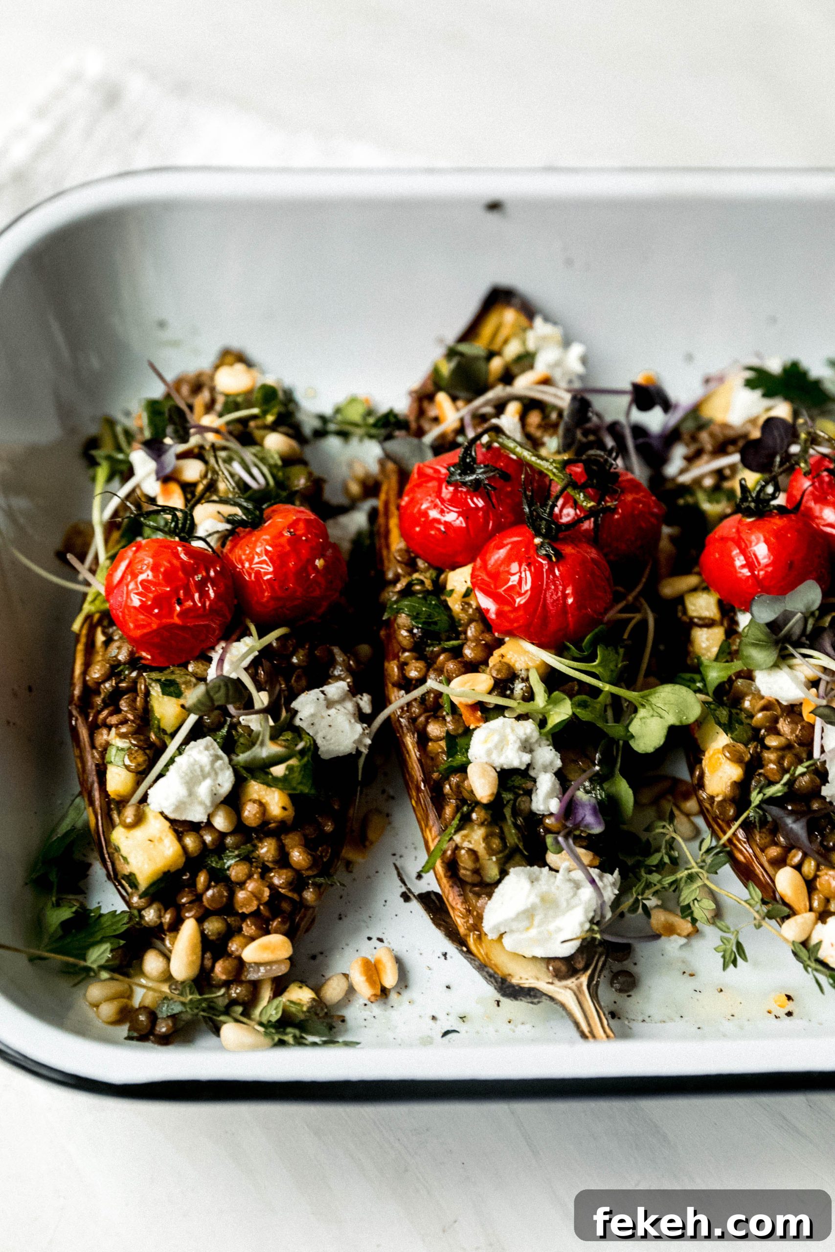 Roasted Eggplant with French Lentils, Goat Cheese & Herbs 3 img 38024 2 scaled