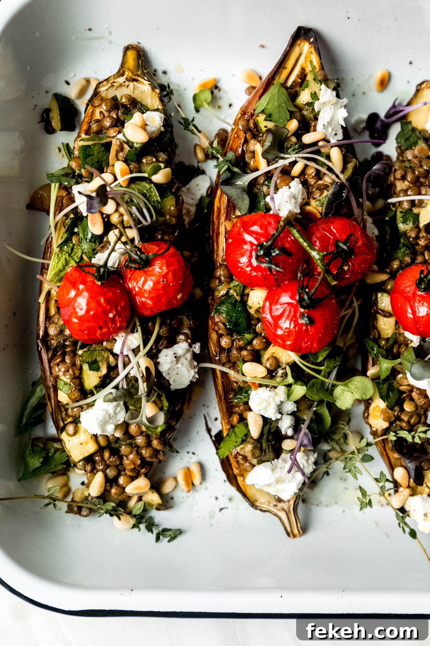 Roasted Eggplant with French Lentils, Goat Cheese & Herbs 5 img 38024 4 scaled